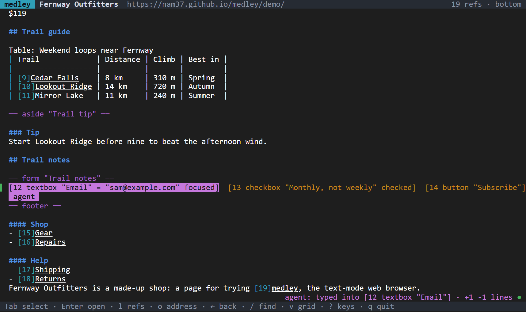 medley's terminal UI on the demo page's form; the status line says, in purple, agent: typed into [12 textbox Email].